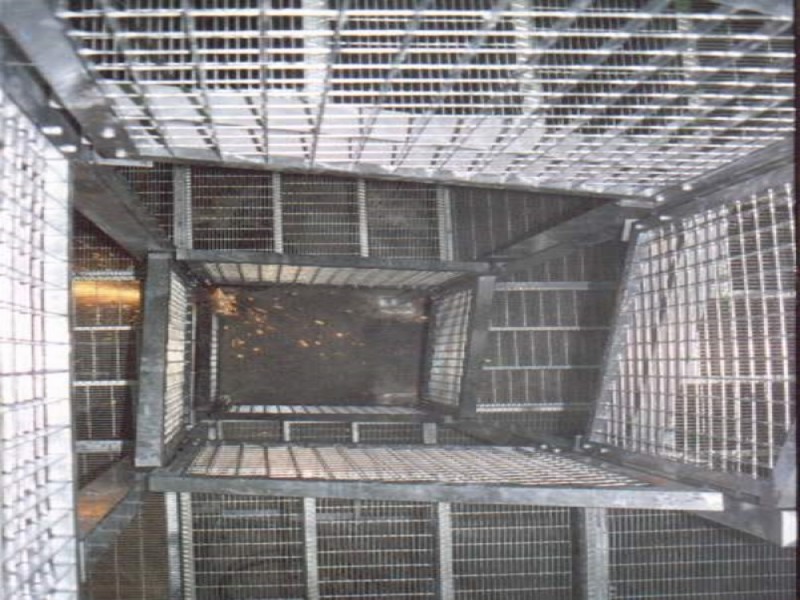 Metal Taccogna srl - Realizzazione scale di sicurezza